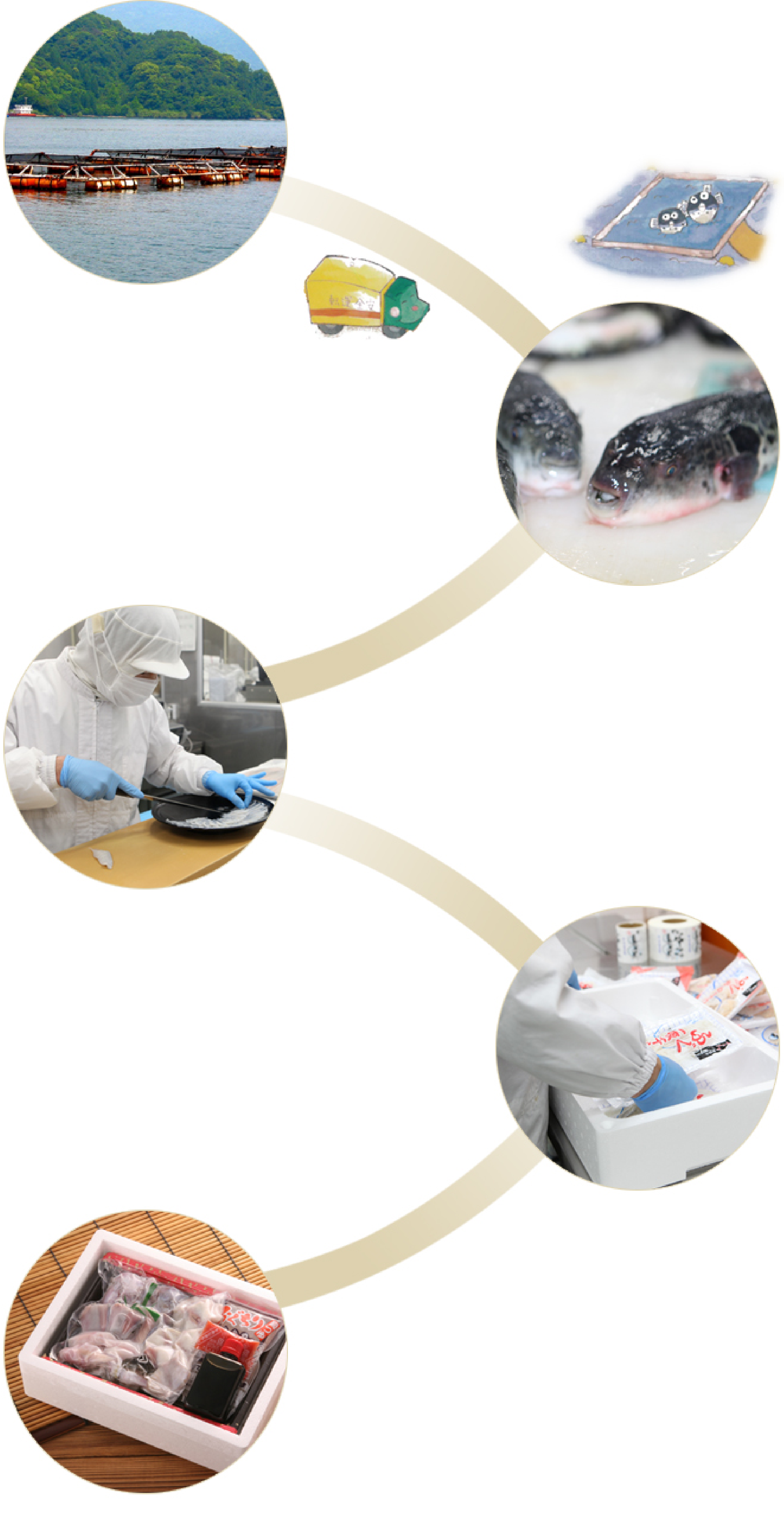 食卓に届くまで